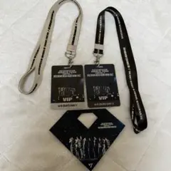 seventeen NEW ENCORE 仁川 VIP ストラップ 特典 - メルカリ