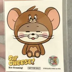 BOYNEXTDOOR ボネクド リウ say cheese ステッカー