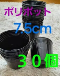 もなか様 リクエスト 2点 まとめ商品
