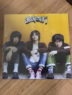 【定価以下新品】都会をすごい速さで走るベンガルトラ　andymori レコード