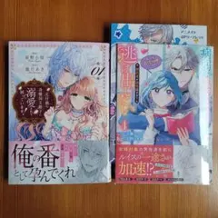 元仔狼の冷徹国王陛下に溺愛されて困っています! 1　２冊