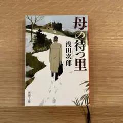 Item thumbnail for item 1f8bac66-b901-45fd-acf0-a266156ab0ef