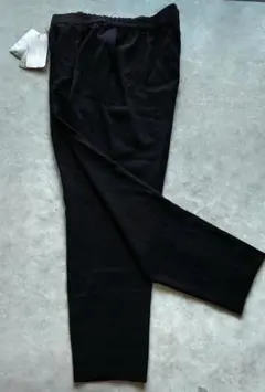 Item thumbnail for item edae22d1-7e19-41df-a87b-69782ded6445