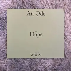 seventeen セブチ ウジ woozi anode トレカ