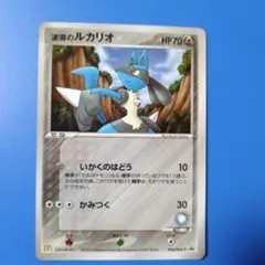 波導のルカリオ 　マクドナルド
