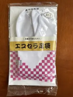 Item thumbnail for item b1226bd6-783b-48e9-b9e4-6fbaf8d9f1f0