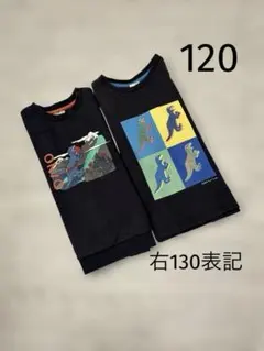 Paul Smith 恐竜柄ロンTとトレーナー2点 130・120