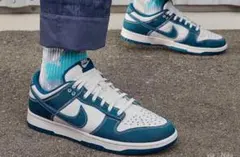 Nike Dunk Low SE 
