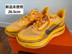 Item thumbnail for item dba97465-21f7-453c-a929-3ba96e7dce6e