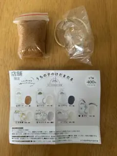 店舗限定　うちの子のけだまだま