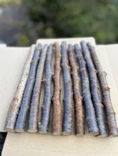 農薬不使用、桜の木、枝、かじり木、ハンドメイド、自然栽培