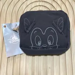 Disney ディズニーストア フィガロ ミニポーチ