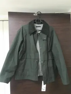 Item thumbnail for item 84e1cb87-a5ef-411b-9afe-a47140e1fb7b