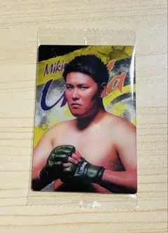 Item thumbnail for item 77b5c905-0ffb-446b-8528-782997c38a81