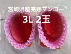 鹿児島県産 ご家庭用完熟マンゴー 2L 3玉 b - メルカリ