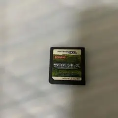 【動作確認済】 サバイバルキッズ LOST in BLUE2 DS ソフト