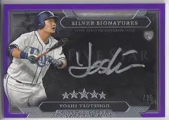 Item thumbnail for item 8509bb73-a10a-44fc-a5fa-da203b067a24