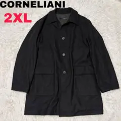 Item thumbnail for item 4234fe06-be03-4c49-8b0e-d6b195b089de