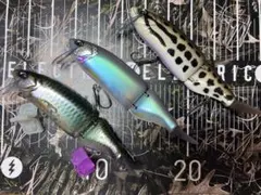 2026年最新】DRTシャイナーの人気アイテム - メルカリ