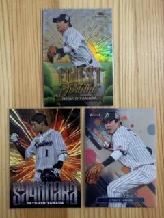 Item thumbnail for item d4765950-5363-428d-96e1-0df91513a847