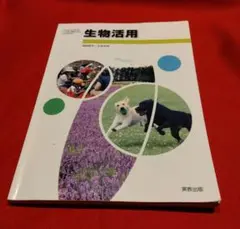 Item thumbnail for item 84baf721-b89b-43a6-9137-524147063378