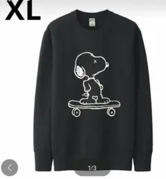 5/1まで【採寸記載】 XL KAWS × peanuts スウェット