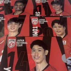 バレーボール男子日本代表 クリアファイル