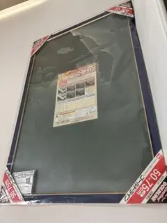 에포크 패널 골드 라인 50 x 75cm