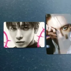 TXT　トレカ　ラキドロ　特典　2枚　コンプ　テヒョン