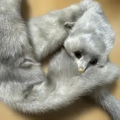 2025年最新】ミンク マフラーの人気アイテム - メルカリ