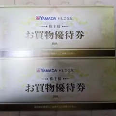 YAMADA HLDGS. お買物優待券 1万円分 株主優待券