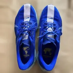 NIKE ペガサスプラス