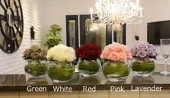 Item thumbnail for item 5a5666e8-bcaf-416c-b7c0-5ac97c1dde6d