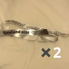 SHINee　キーランド　銀テ　代々木