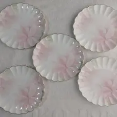 ★未使用新品】Nikko ファインボーンチャイナ 花柄皿 5枚セット★