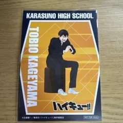 ハイキュー!! 影山飛雄 まねきねこ ブロマイド