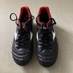 Item thumbnail for item 0b7a0905-265b-48c3-adc8-10c8f9f3aa71