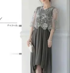 ハレモードシアー刺繍チュールドッキングドレス パーティドレス　オケージョンドレスのサムネイル