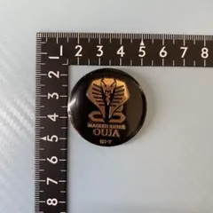 仮面ライダー王蛇 メタル 缶バッジ