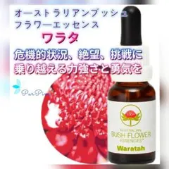 Item thumbnail for item f1126233-7c2e-4a62-a327-3b161542114b