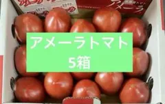 アメーラトマト 5箱 - メルカリ