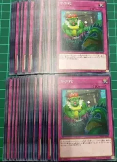 やぶ蛇　50枚セット　まとめ売り