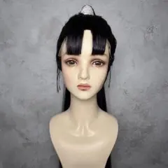 【No.221】サンプル品　ウィッグオーダー受付中