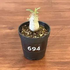 ちょこ☆彡.。様 リクエスト 2点 まとめ商品