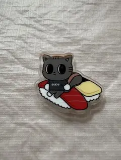 TXT プルバトゥ ご当地 アクリルバッジ 有明　東京 お寿司　ダゴニャン