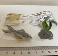 原色淡水魚図鑑　テツギョ