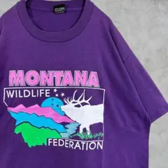 90s USA製【SCREEN STARS】 シングルステッチ 古着 Tシャツのサムネイル