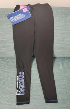 Item thumbnail for item 525517ae-089a-4b48-9ecf-2d120dacd01a