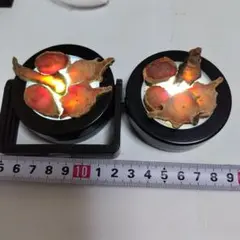 木工キット用素材セット 10個