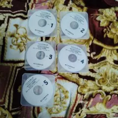 Item thumbnail for item eed8aa22-5f69-4f25-86a1-8943bcdab3e4